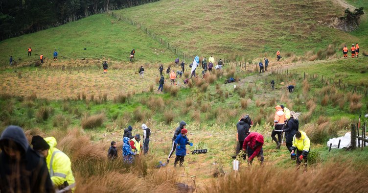 Community Planting