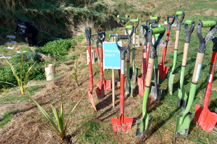 Planting 3