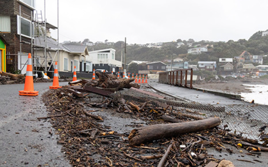 welly wind 1