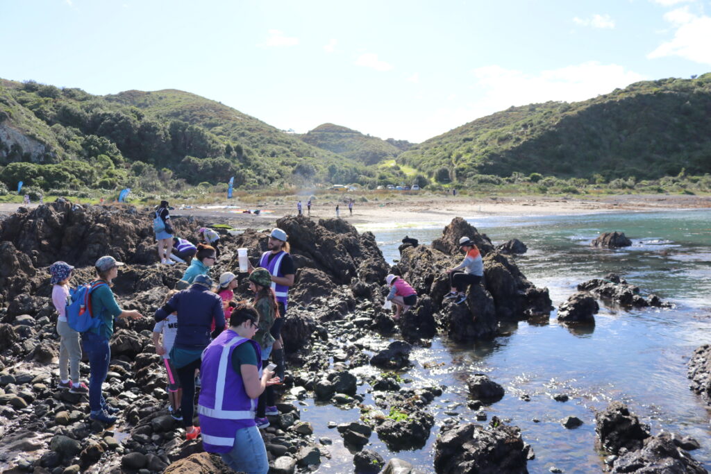 Coastal Manage Plan volunteers
