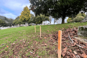 Wooden markers staked into the ground at Porirua Cemetery, symbolising unmarked graves