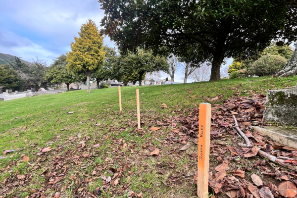 Pegs mark unmarked graves of Porirua Hospital patients. Wooden markers staked into the ground at Porirua Cemetery, symbolising unmarked graves