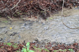 Three photos showing Mitchell Stream in Porirua with cloudy brown water, sediment buildup, and signs of recent discharges below the Porirua landfill.