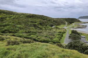 View of Onehunga Bay and surrounding coastal vegetation in Whitireia Park, with a road leading toward the sea and cloudy skies overhead.