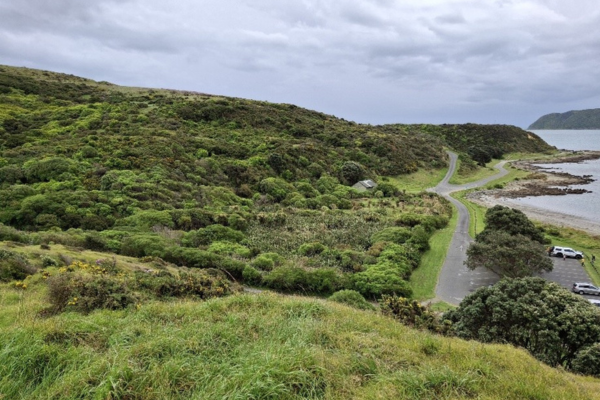 Scenic View of Onehunga Bay, Whitireia Park View of Onehunga Bay and surrounding coastal vegetation in Whitireia Park, with a road leading toward the sea and cloudy skies overhead.