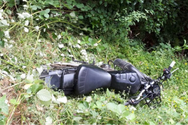Abandoned Dirt Bike Highlights Dangers in Porirua Park A black dirt bike lying on its side in dense green bush and undergrowth, partially obscured by plants, indicating an off-track crash or abandonment.