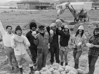 Pātaka to honour 50 years since 1975 Land March