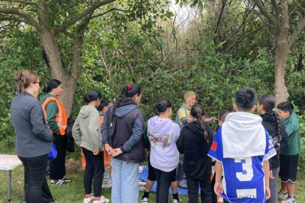 Porirua East School Planting 2
