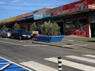 A row of small Porirua shops with colourful signage, parked cars, a pedestrian crossing, and a large blue planter on the footpath.