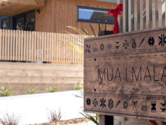 Newly built homes in Cannons Creek, Porirua, part of the Our Whare Our Fale housing initiative for Pacific families.