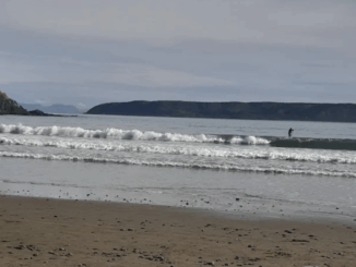 Titahi Bay beach with coastline visible, where emergency services responded after a man was pulled from the water.