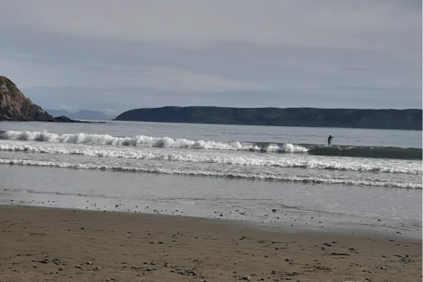 Titahi Bay beach with coastline visible, where emergency services responded after a man was pulled from the water.