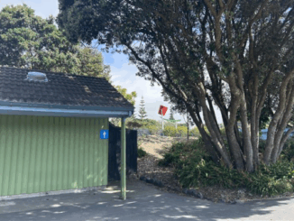 Public toilet block at the north end of Aotea Lagoon in Porirua, with a green exterior wall, tiled roof and a large tree beside the entrance. A red flag can be seen flying in the background near the splash pad area.