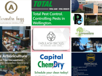 Collage of logos and promotional images from Porirua News Business Directory members including Alexander Hogg Coaching & Consulting, Total Pest Control, Porirua Club, Blue Carrot Catering, Fabulash Brows, Arbinnovations, Elite Arboriculture, Capital Chem-Dry, and Imperial Detailing Co.