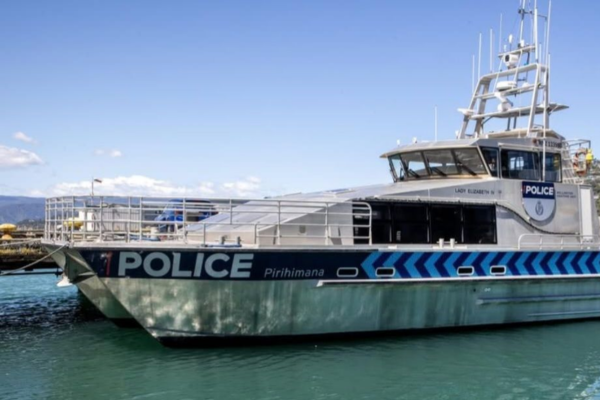 Police arrested a Porirua man after a brief harbour pursuit on Friday morning, when he attempted to escape custody by boat near the Mana Twin Bridges.