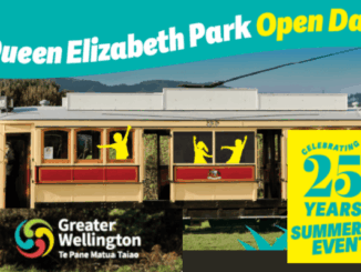 Porirua families are invited to a free open day at Queen Elizabeth Park on February 21 to help mark 25 years of Greater Wellington summer events.