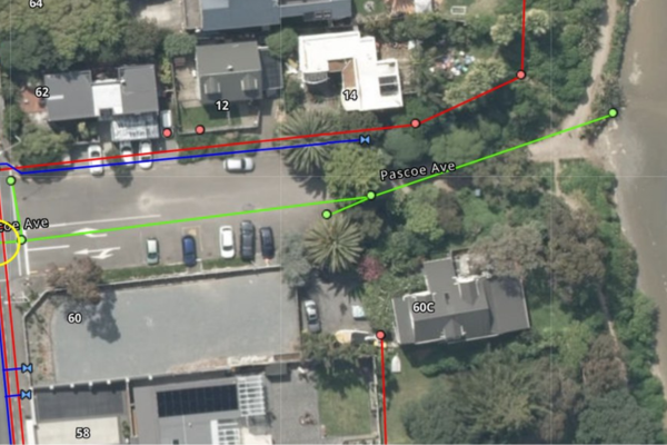 Aerial map showing Pascoe Avenue and surrounding properties in Paremata, with coloured lines marking underground wastewater and stormwater infrastructure near the shoreline.