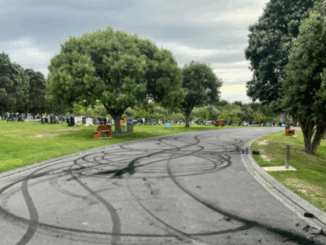 Black burnout tyre marks cover a curved cemetery driveway at Whenua Tapu Cemetery in Porirua, with headstones, green lawns, and trees visible on both sides under a cloudy sky.