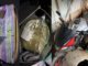 Close-up images show cash bundled inside a bag, a clear plastic bag containing cannabis, and a motorbike stored inside a shed, all seized during a Police search in Cannons Creek, Porirua.