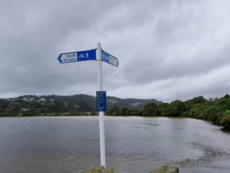 Floodwaters cover a pathway and surrounding land in Pāuatahanui, with a cycleway sign partially surrounded by water under grey storm clouds.