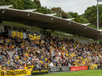 Crowd of Wellington Phoenix supporters in yellow and black fill a covered stand at Porirua Park during a match.