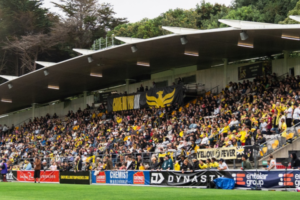Wellington Phoenix fans fill the grandstand at Porirua Park during an A-League Women match, waving yellow-and-black flags and banners ahead of the club’s semi-final showdown with Brisbane Roar.