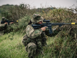 Two New Zealand Army Reserve soldiers in camouflage move through long grass and scrub during a field training exercise.