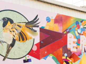 Colourful mural featuring a flying stitchbird with golden wings beside bold rainbow geometric shapes.
