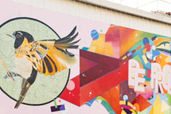Colourful mural featuring a flying stitchbird with golden wings beside bold rainbow geometric shapes.