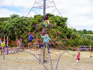 Children climb and play on a large rope climbing structure at a playground, surrounded by trees and open space.