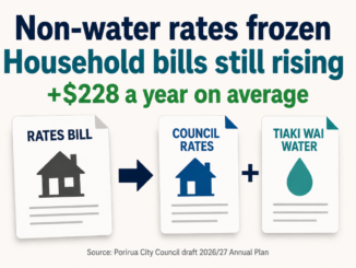 Graphic showing a rates bill splitting into two separate bills labelled "Council Rates" and "Tiaki Wai Water". The graphic states that non-water rates are frozen but household bills are still rising, with average household costs increasing by $228 a year.