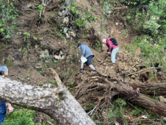 Three people make their way across fallen trees, rocks and loose soil at a large slip on Akatarawa Road near Staglands Wildlife Reserve.
