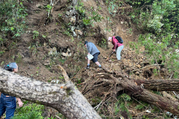 Three people make their way across fallen trees, rocks and loose soil at a large slip on Akatarawa Road near Staglands Wildlife Reserve.