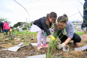 A child and an adult plant native grasses together during a community planting day.