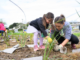 A child and an adult plant native grasses together during a community planting day.