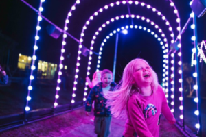 Alt text: Children run through a colourful tunnel of lights at Porirua’s harbourside Matariki light display.