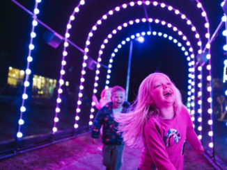Alt text: Children run through a colourful tunnel of lights at Porirua’s harbourside Matariki light display.