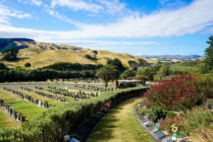 Rows of headstones and memorial plots at a Porirua cemetery, with landscaped gardens, palm trees and hills in the background.