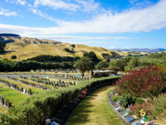 Rows of headstones and memorial plots at a Porirua cemetery, with landscaped gardens, palm trees and hills in the background.