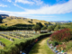 Rows of headstones and memorial plots at a Porirua cemetery, with landscaped gardens, palm trees and hills in the background.