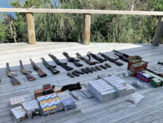 Fifteen firearms, prohibited magazines and boxes of ammunition laid out on a wooden deck after a police search at Crail Bay.