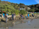 Volunteers survey cockles on the mudflats at Pāuatahanui Inlet.